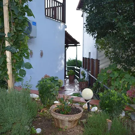 Alisaxni Seaside Agios Ioannis (Thessaly)